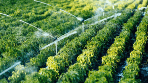 Micro Irrigation System In India