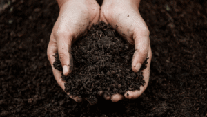 Impact Of Soil Erosion On Agriculture