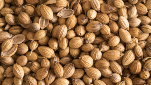 Seed Development In India