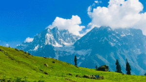 A Thriving Horticulture In Jammu and Kashmir