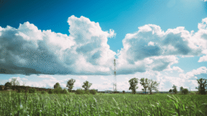 Role Of Telecommunication In Agriculture Production