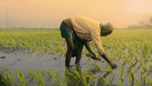Microfinance Loans Are The New Hope For Women In Kolkata
