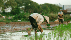 Microfinance Loans Are The New Hope For Women In Kolkata