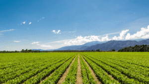 EU Targets To Increase Organic Farming Upto 25 By 2030