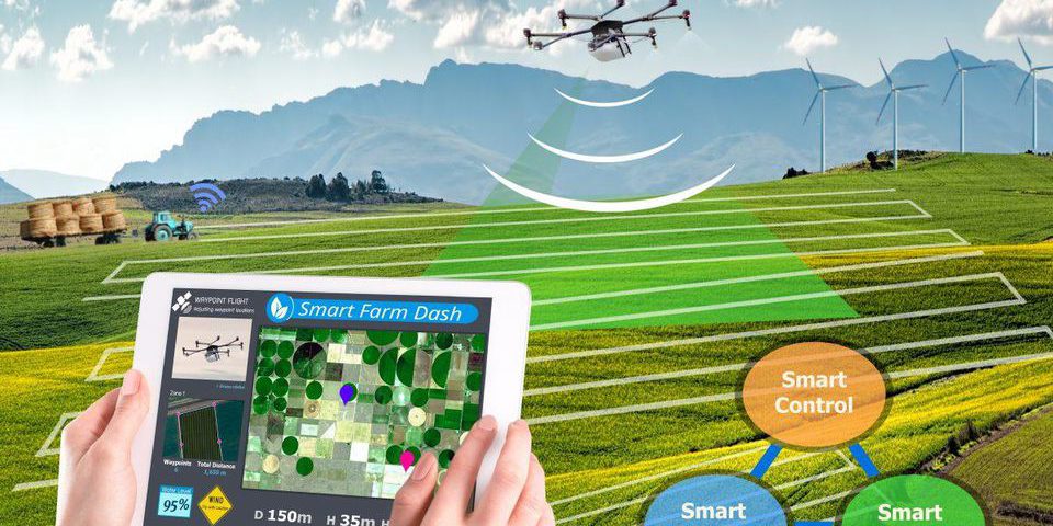 Digital Agriculture: The Future of Indian Agriculture
