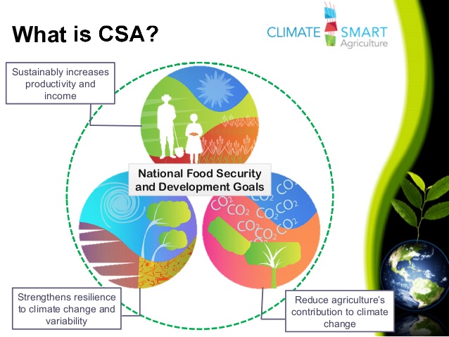 Climate Smart Agriculture: Reorienting Agricultural Development