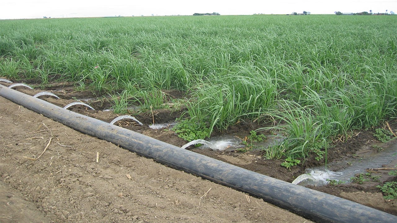 Irrigation Methods That Will Help The Indian Farmers