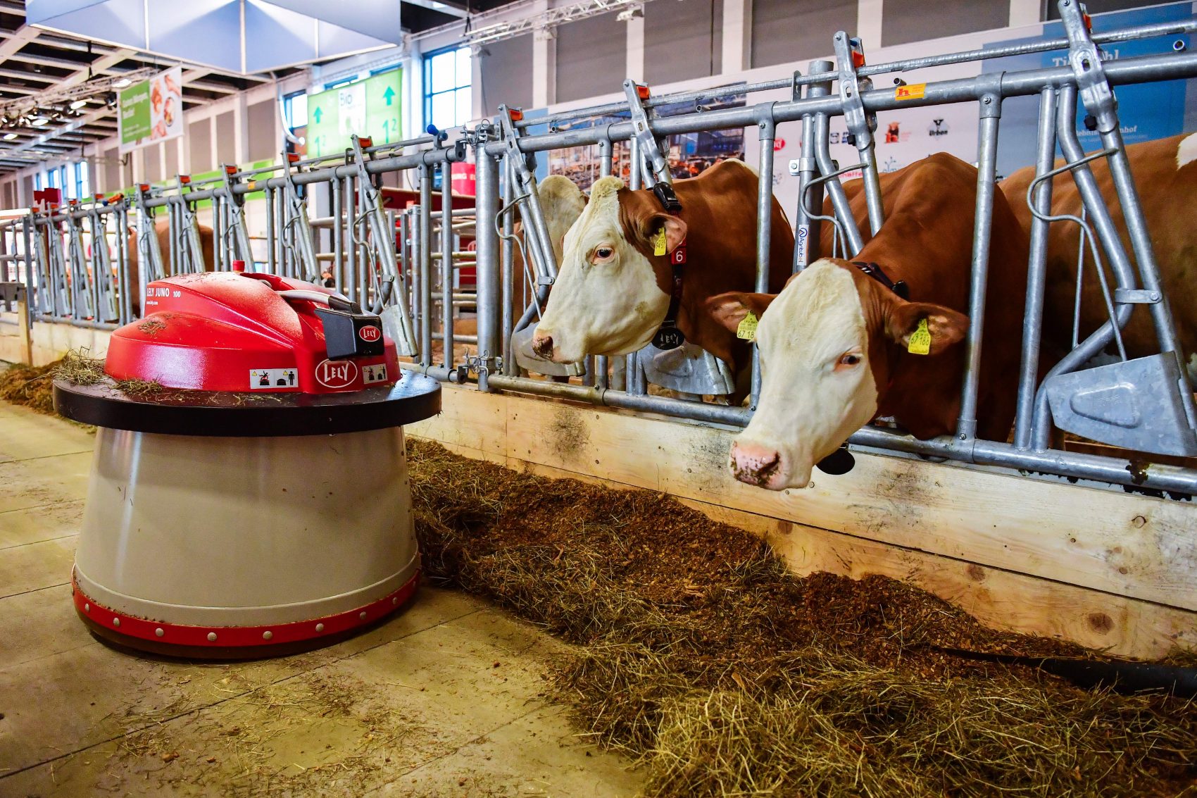 Robotic Milking: How Does It Helps In Dairy Farming?