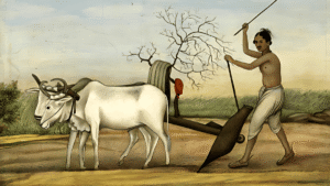 Ancient agriculture