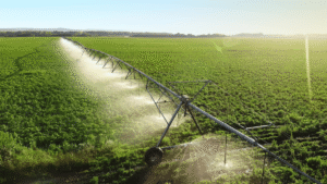 Modern agriculture