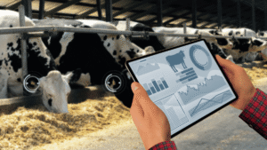 4 Amazing Tips about Livestock Farming