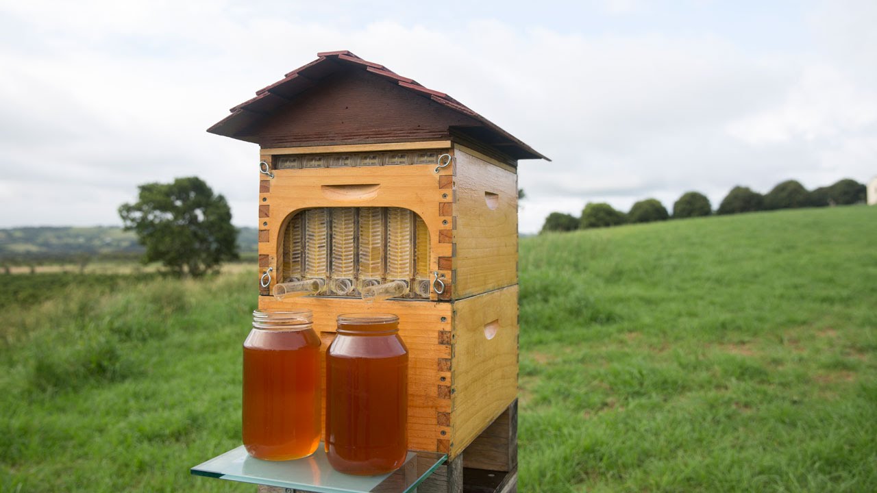 Hive System