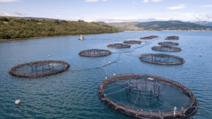 8 Amazing Facts about Aquaculture