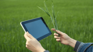 Digital Agriculture and the Path to the Future