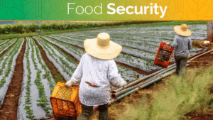 Receiving Useful Data to Help Fight Food Scarcity