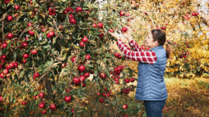 Top 8 Global leading fruit producers in the world