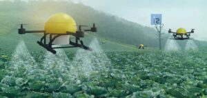 AI and ML contribution in Agriculture