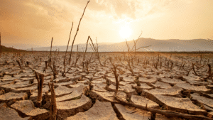 Top 10 reasons that caused inflation and badly impacted Indian agricultural market leading to