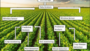 Using AI for spraying chemicals
