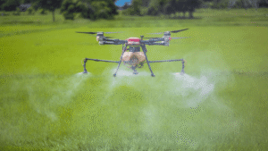 Using AI for spraying chemicals