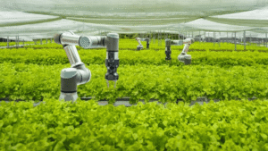What are the latest trends in AgroTech in November 2022