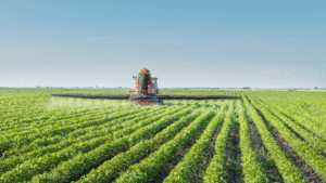 Is permaculture possible in an urban environment?