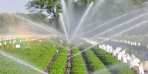 Most effective and efficient irrigation systems in agriculture