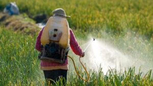 Pesticides: Every first-time buyer's guide