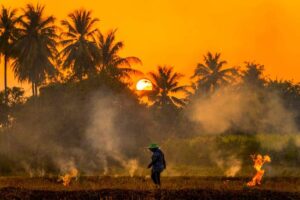 Pollution's effects on Agriculture