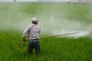 Pollution's effects on Agriculture