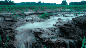 Pollution's effects on Agriculture