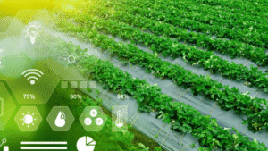 Agtech for improving resource efficiency in agriculture