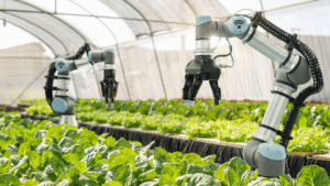 The future of technology in agriculture