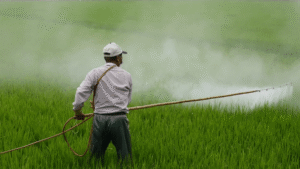 The problem with pesticides