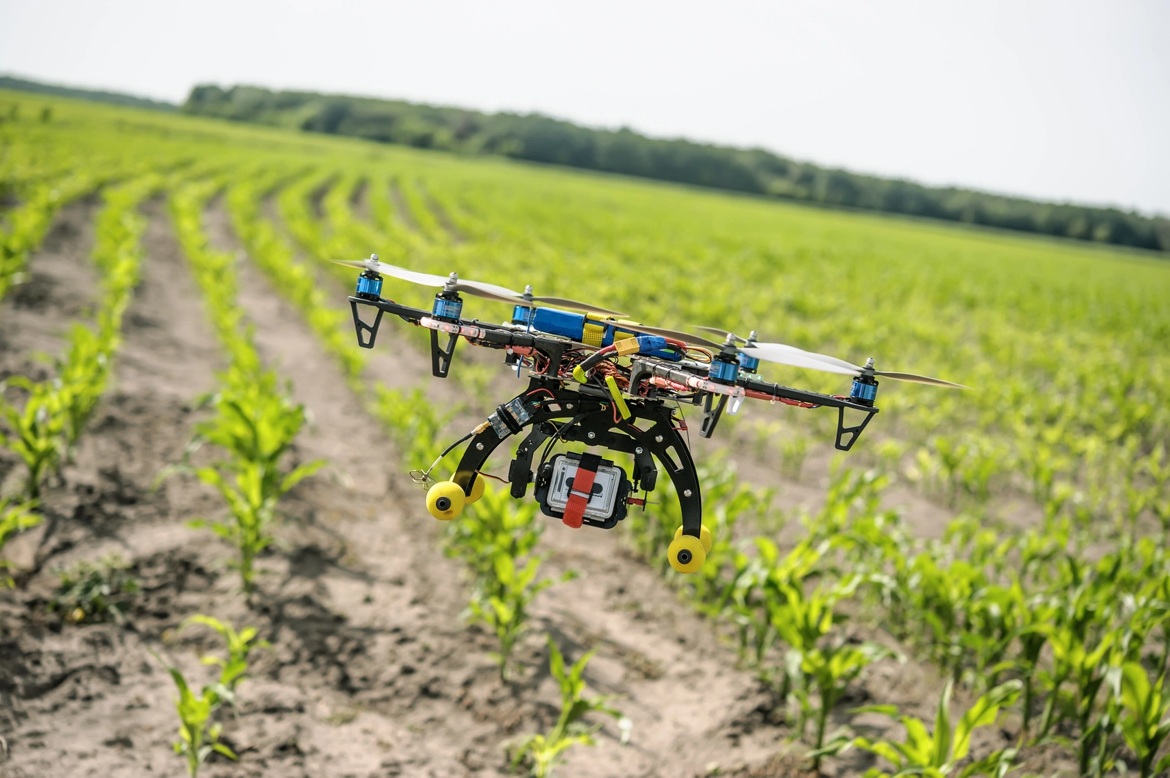 drones in agriculture