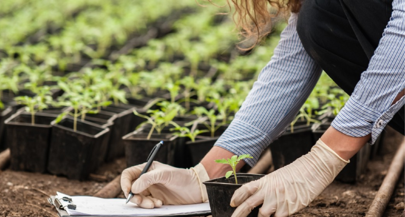 soil health