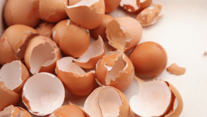 egg shells