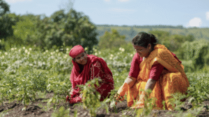Navigating Agricultural Trade Policies 2023: Guiding Farmers Forward