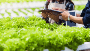 Skills and Qualities for Youth in Agriculture