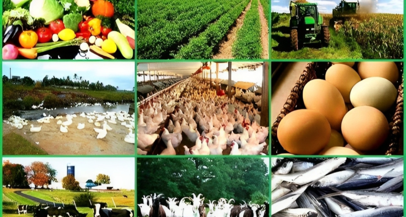 10-high-potential-ventures-agribusiness