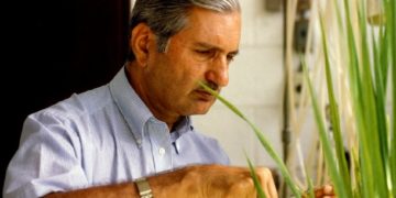 DSR-solution-to-Punjab-Water-crisis-says-Dr.-Gurdev-Singh-Khush