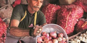 One lakh tonnes of Onion buffer stock to be released: Mr Narendra Singh Tomar