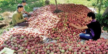 Union Cabinet approves Market Intervention Scheme in J&K