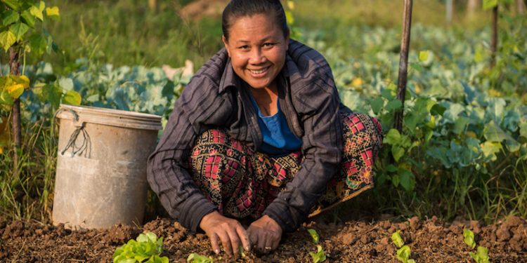 India celebrates 15th of October as Women Farmers’ Day or Rashtriya Mahila Kisan Diwas
