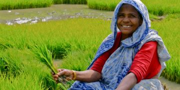 Free Crop Insurance scheme in Andhra Pradesh