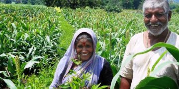 Victory of farmers on prolonged battle over crop insurance in Rajasthan