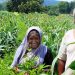 Happy farmer