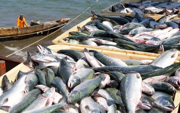 Investments worth $9 billion is expected in fisheries sector over a span of next five years