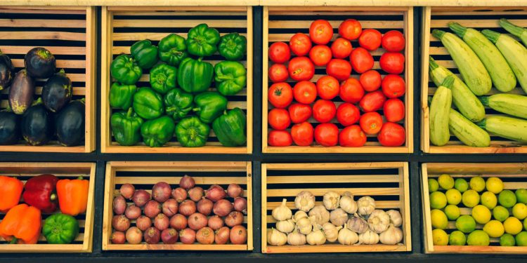 Kerala: New Indo-Dutch centre of excellence for vegetables, flowers set to open   