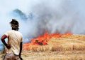 Punjab Farmers are forced to burn stubble; says government failed to provide incentives